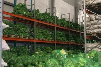 Фотография к новости: Три тысячи тонн овощей поставят в столицу для сдерживания цен