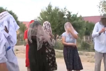 Фотография к новости: Нашествие мошек: сельчане Туркестанской области не могут выйти на улицу из-за укусов насекомых