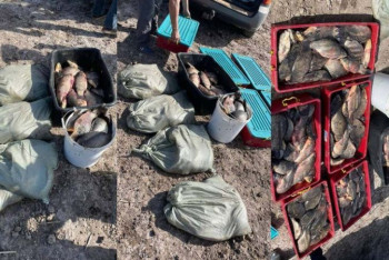 Фотография к новости: Порядка 300 килограммов рыбы изъяли у браконьера в Карагандинской области