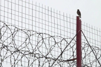 Фотография к новости: Заключённый решился на суицид в СИЗО Алматы