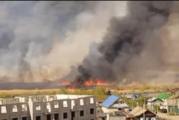 Фотография к новости: Крупный пожар тушат у дач в Петропавловске
