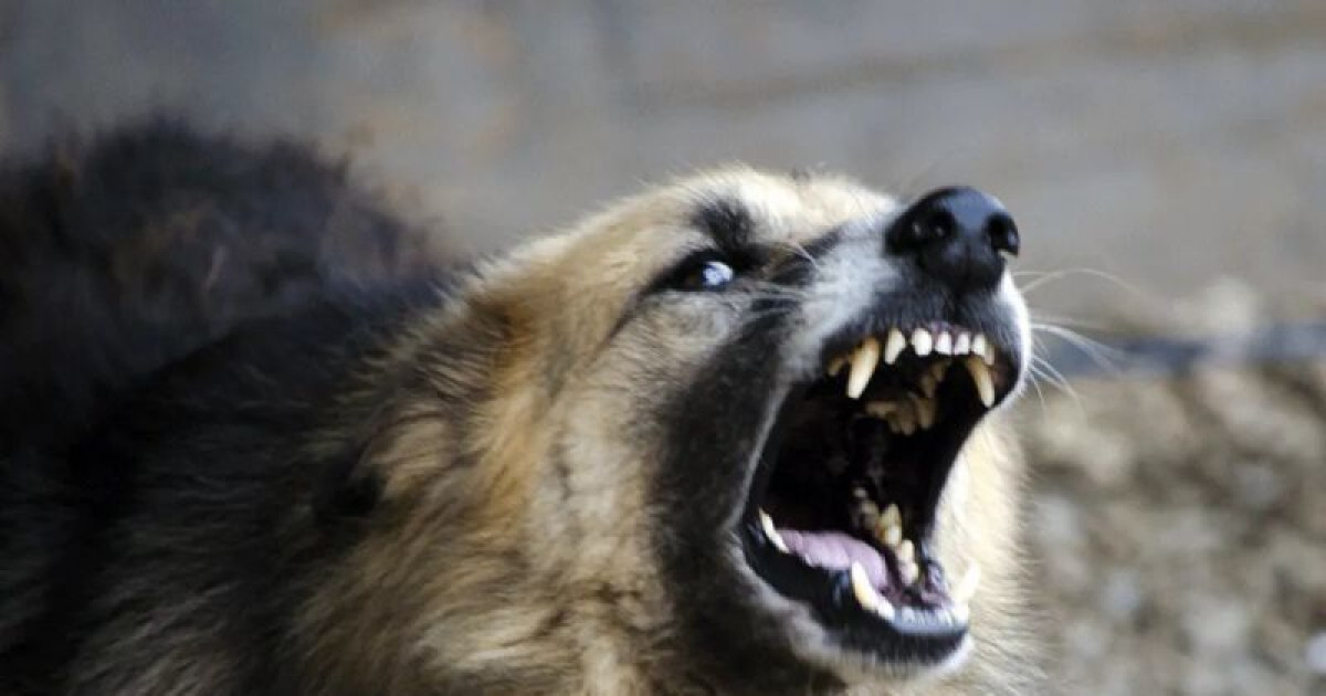 иллюстративное