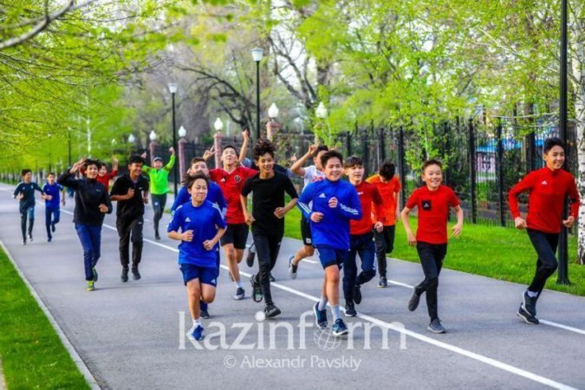 Получившие деньги по программе ArtSport спортивные секции проверяют правоохранители