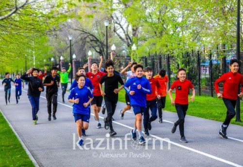 Фотография к новости: Получившие деньги по программе ArtSport спортивные секции проверяют правоохранители