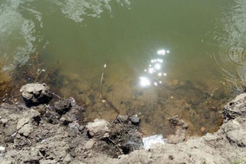 Фотография к новости: Четырёхлетний мальчик утонул в котловане в Алматы