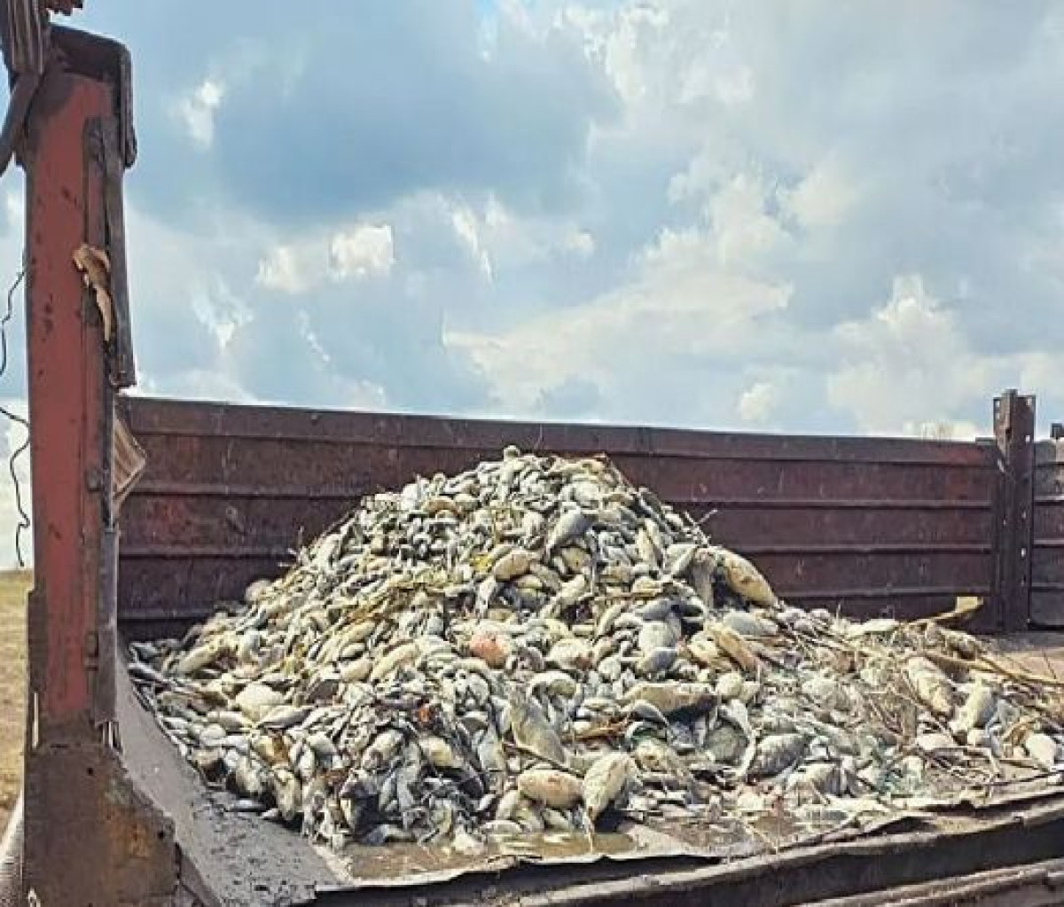 instagram.com/ecologysko