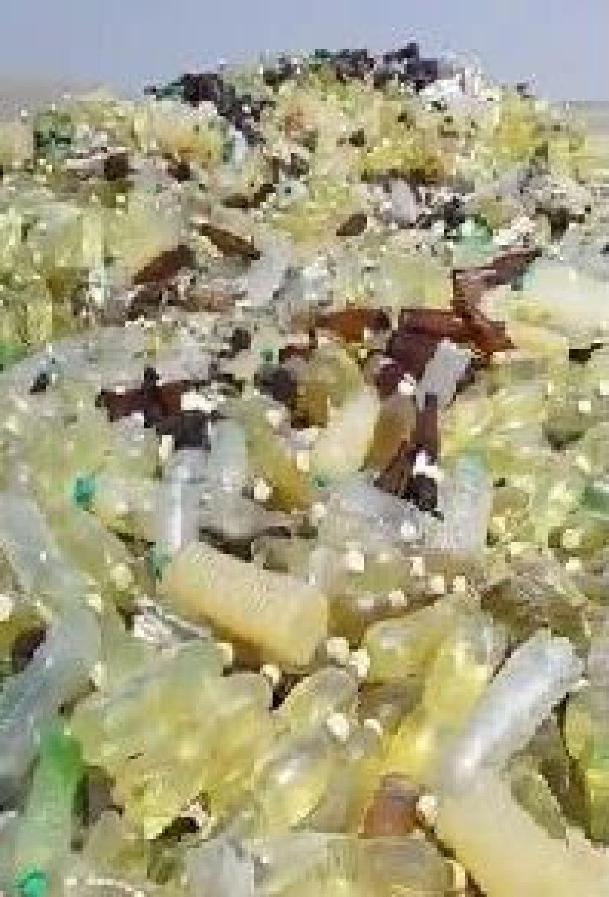 скриншот с видео