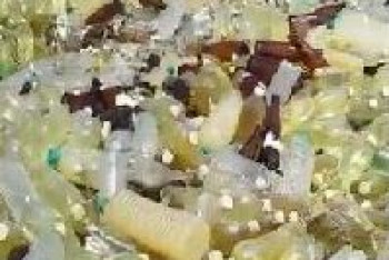 Фотография к новости: Экологи проверили подозрительную гору бутылок с жидкостью близ Актау