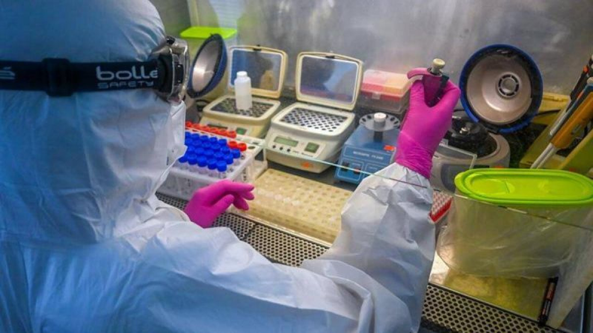 из открытых источников