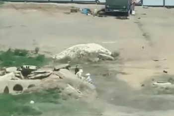 Фотография к новости: Малыши сбежали из детсада в Нур-Султане. Воспитателя привлекут к ответственности