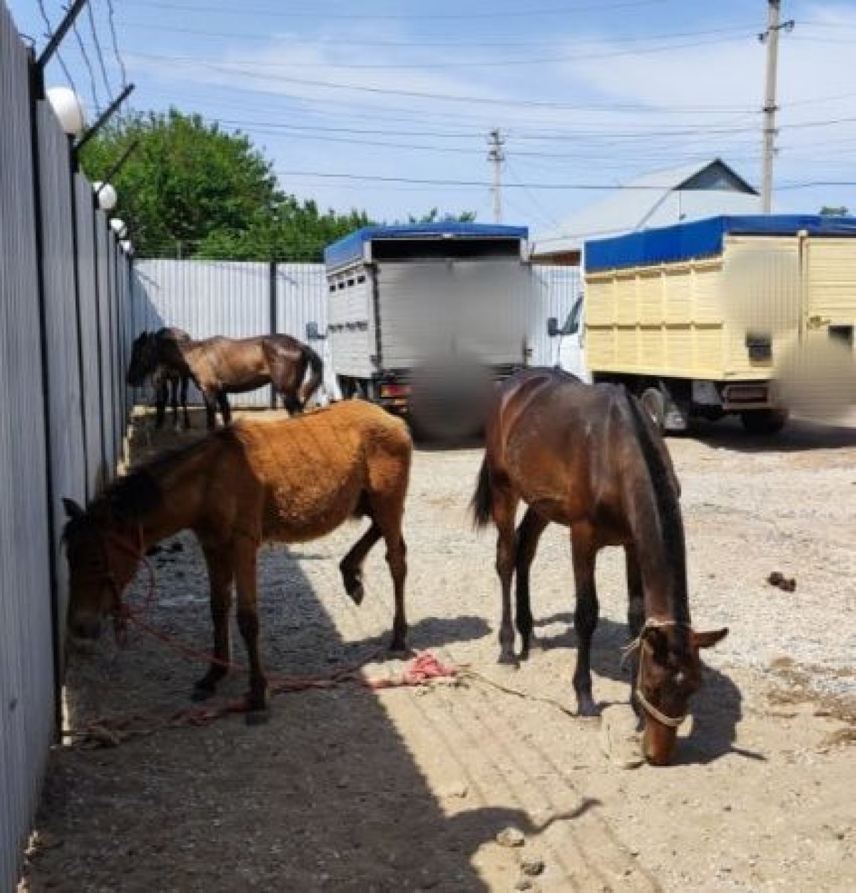 ДП Туркестанской области