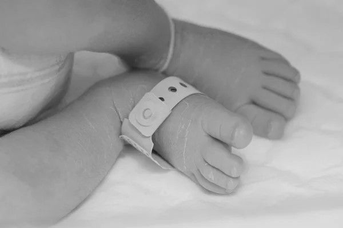 иллюстративное