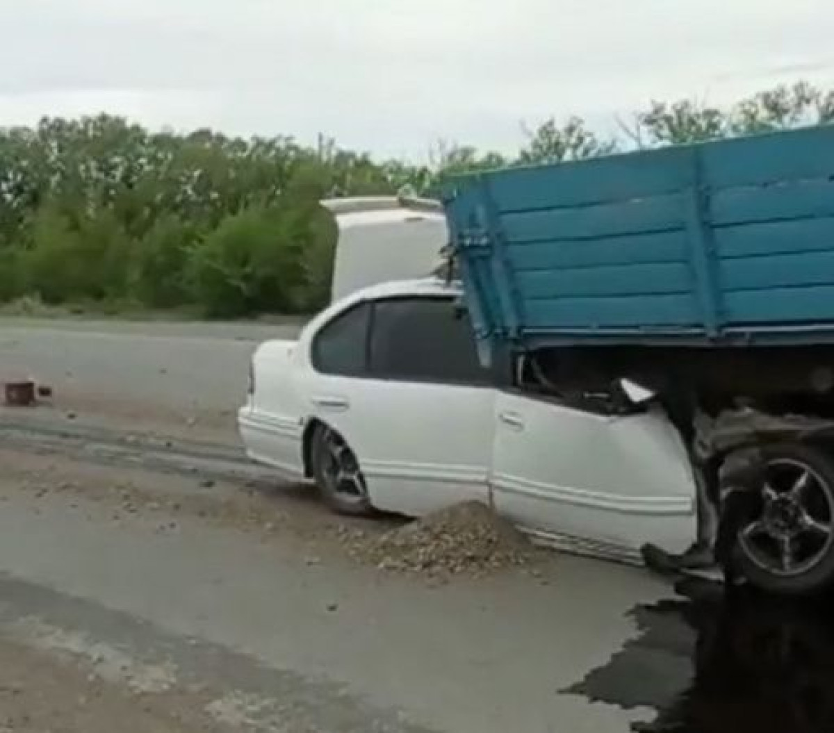 Instagram/@oo_osa_semey_vko