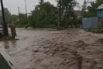 Фотография к новости: Два посёлка затопило в Алматинской области из-за дождя