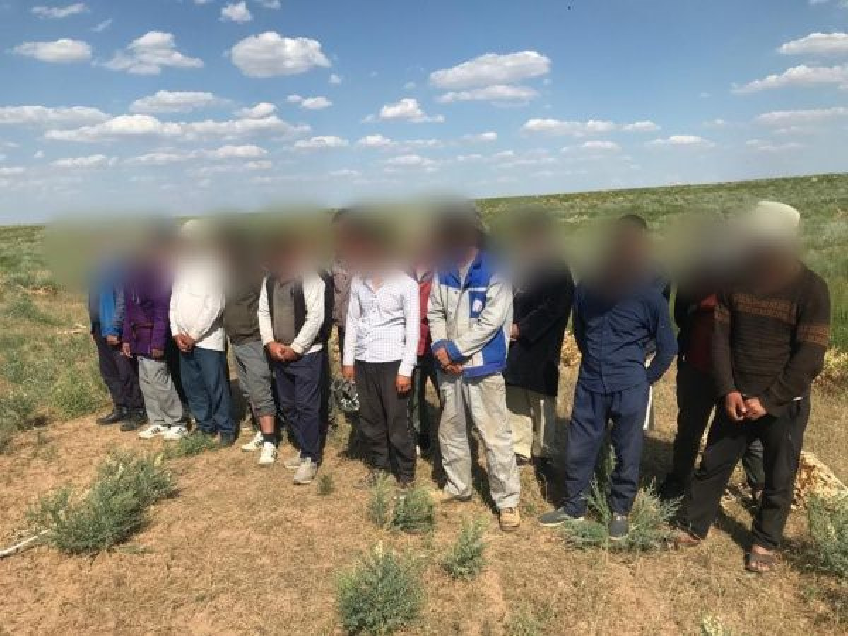 ДП Туркестанской области