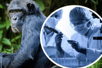 Фотография к новости: В Казахстане не зарегистрировано случаев заражения обезьяньей оспой