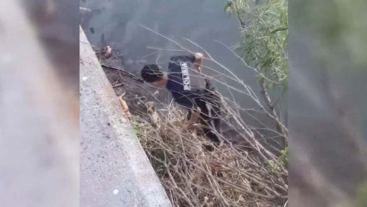 В Усть-Каменогорске спасение кота из реки полицией попало на видео