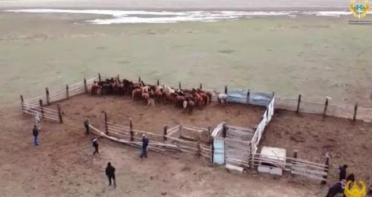 скриншот с видео