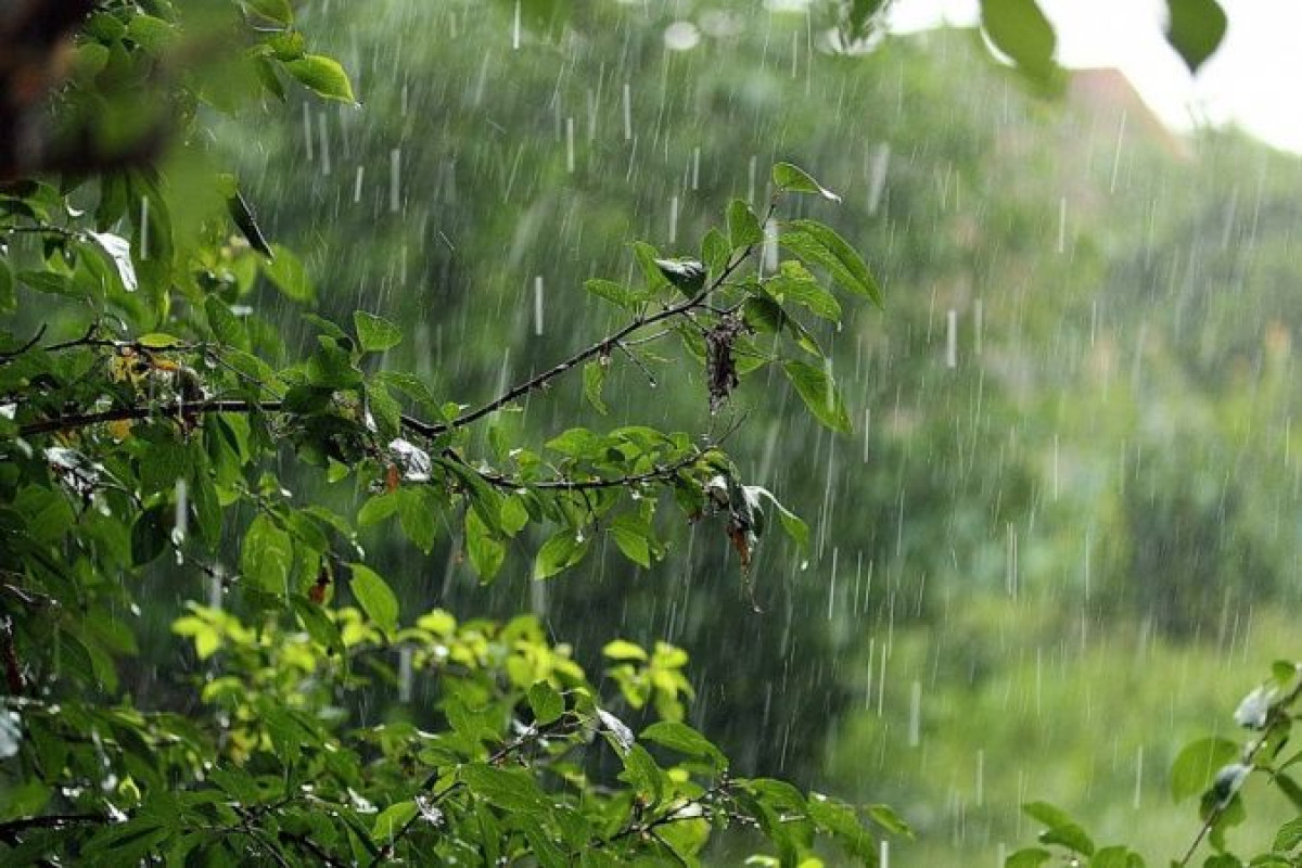 Иллюстративное фото