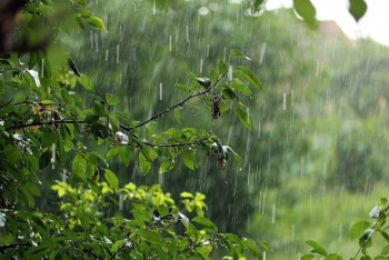 Фотография к новости: Штормовое предупреждение объявили в Нур-Султане, Алматы и девяти областях Казахстана