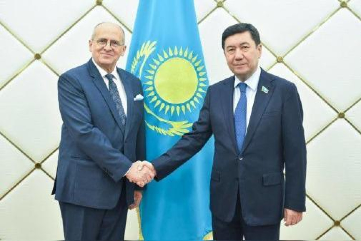 Глава ОБСЕ назвал амбициозными политические реформы Казахстана