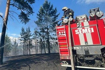 160 гектаров леса горит на территории резервата в Семее
