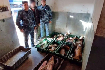 Фотография к новости: Более двух тонн рыбы изъяли у браконьеров полицейские ВКО