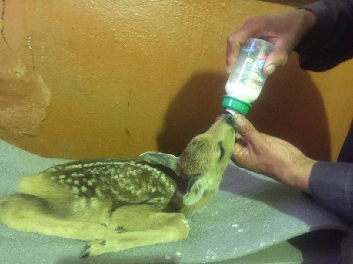 Аждар Жусупов