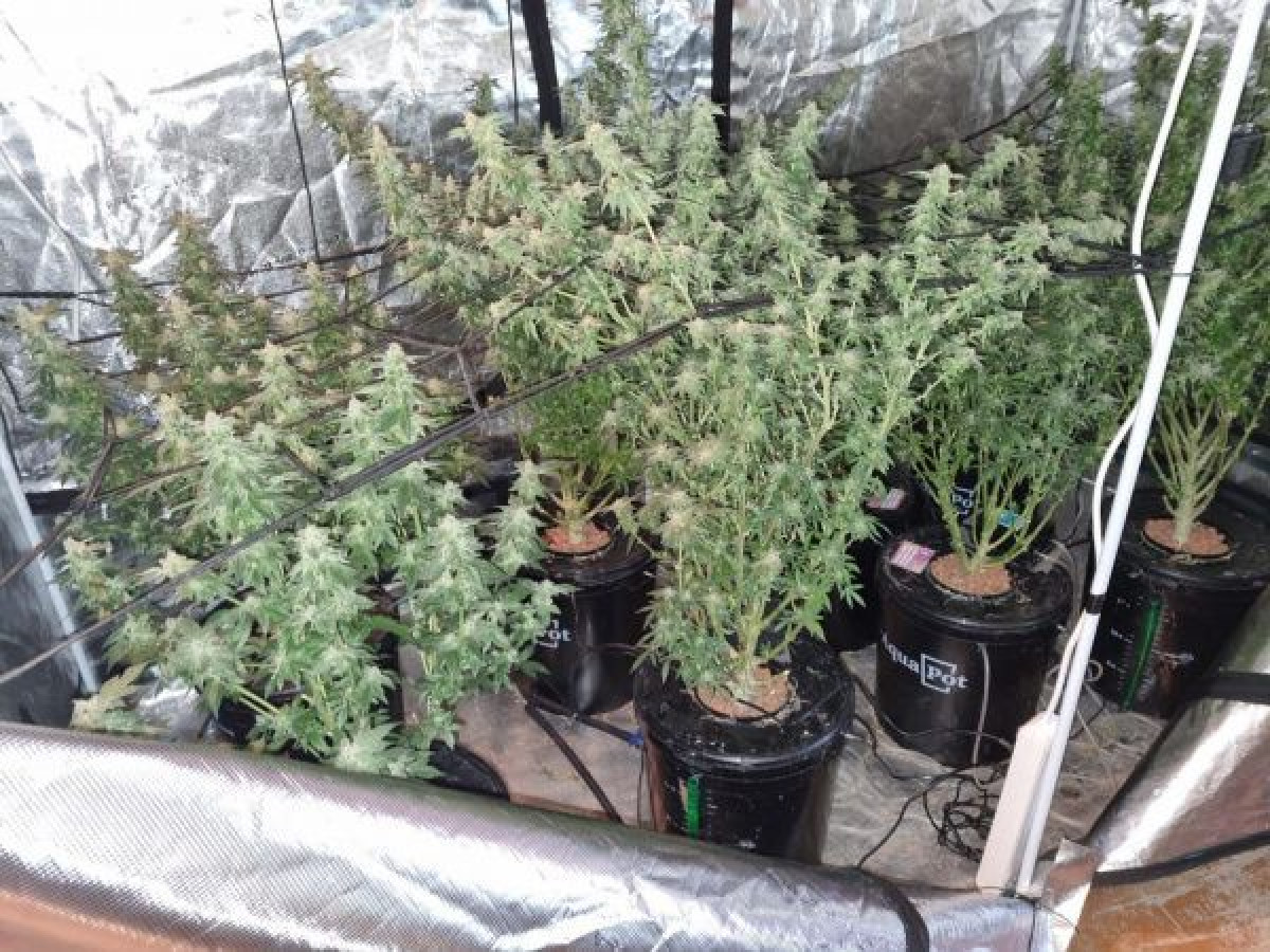 пресс-служба ДП ВКО