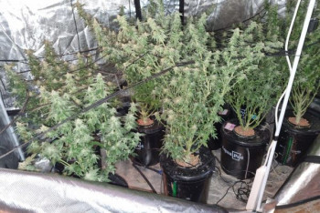 Фотография к новости: Нарколабораторию развернул в своей квартире житель Усть-Каменогорска