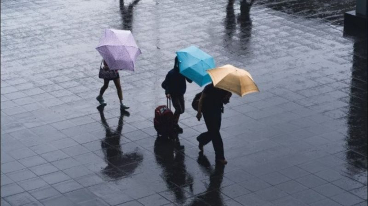 из открытых источников