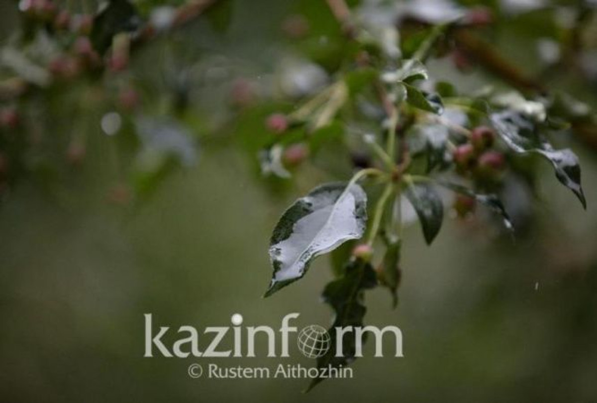 В 12 регионах Казахстана из-за непогоды объявлено штормовое предупреждение