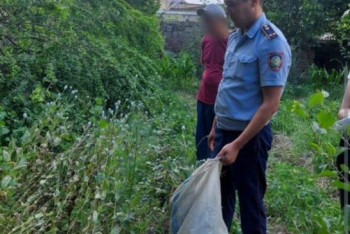 Фотография к новости: Плантацию опийного мака вырастил во дворе житель Туркестанской области