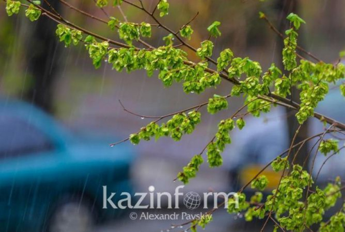 В 11 регионах Казахстана из-за непогоды объявлено штормовое предупреждение