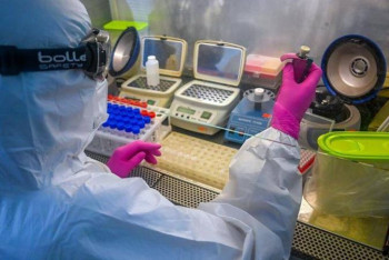 Фотография к новости: Новые случаи КВИ обнаружили в двух городах Казахстана