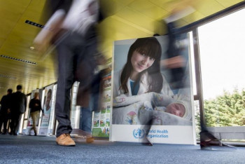 Фотография к новости: Оспа обезьян: ВОЗ созывает комитет по чрезвычайным ситуациям