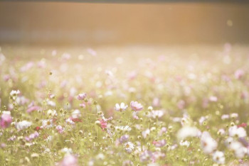 Фотография к новости: В северных и центральных регионах Казахстана потеплеет