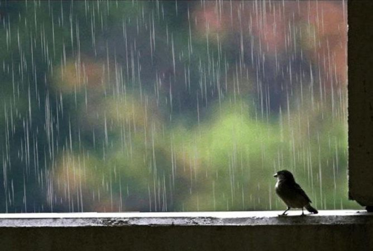 Штормовое предупреждение объявлено в 14 регионах Казахстана