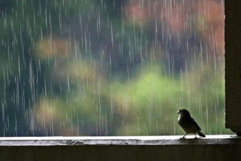 Фотография к новости: Штормовое предупреждение объявлено в 14 регионах Казахстана