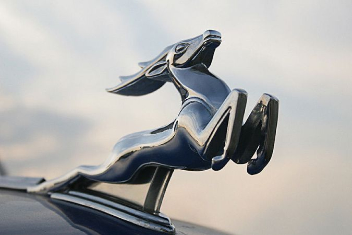 Бренды "Волга" и "Победа" возродят в России