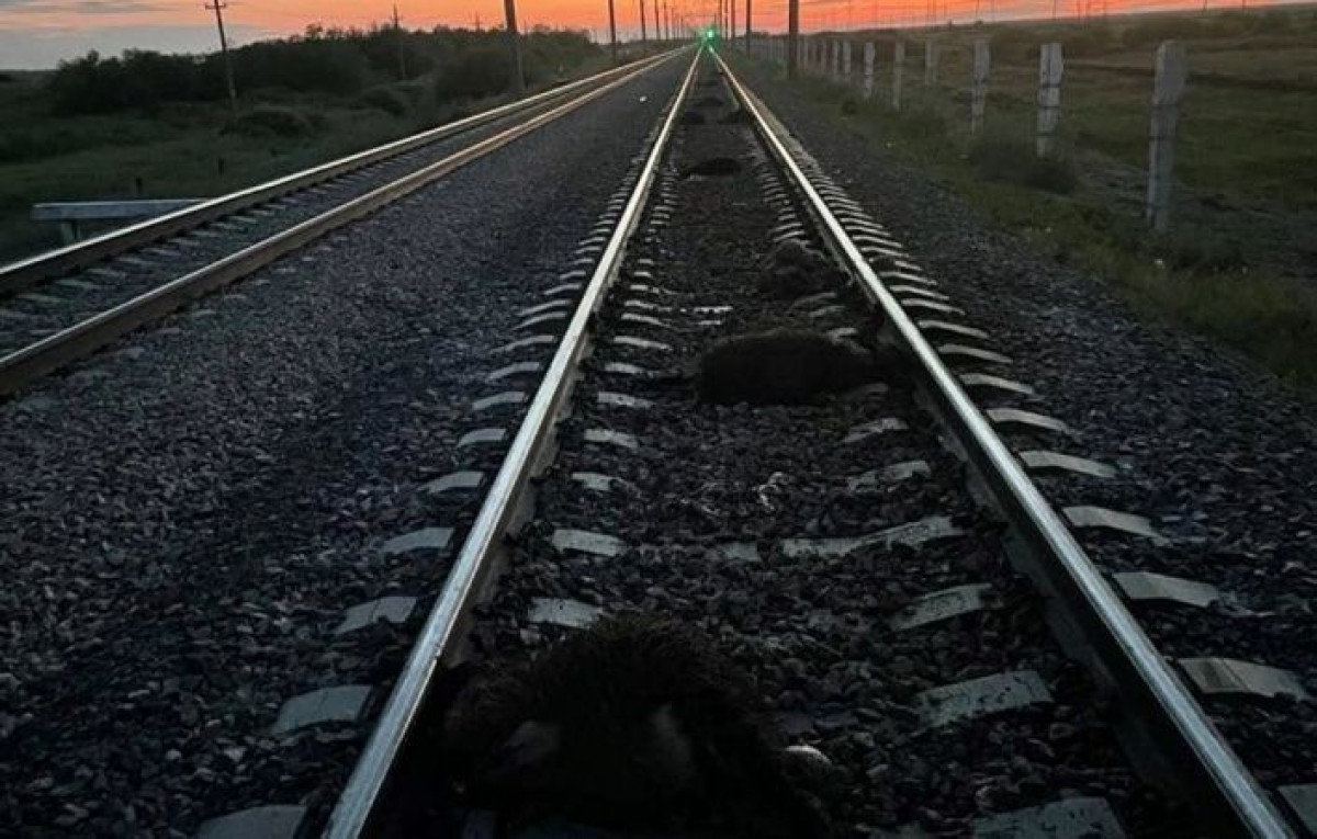 ДП на транспорте