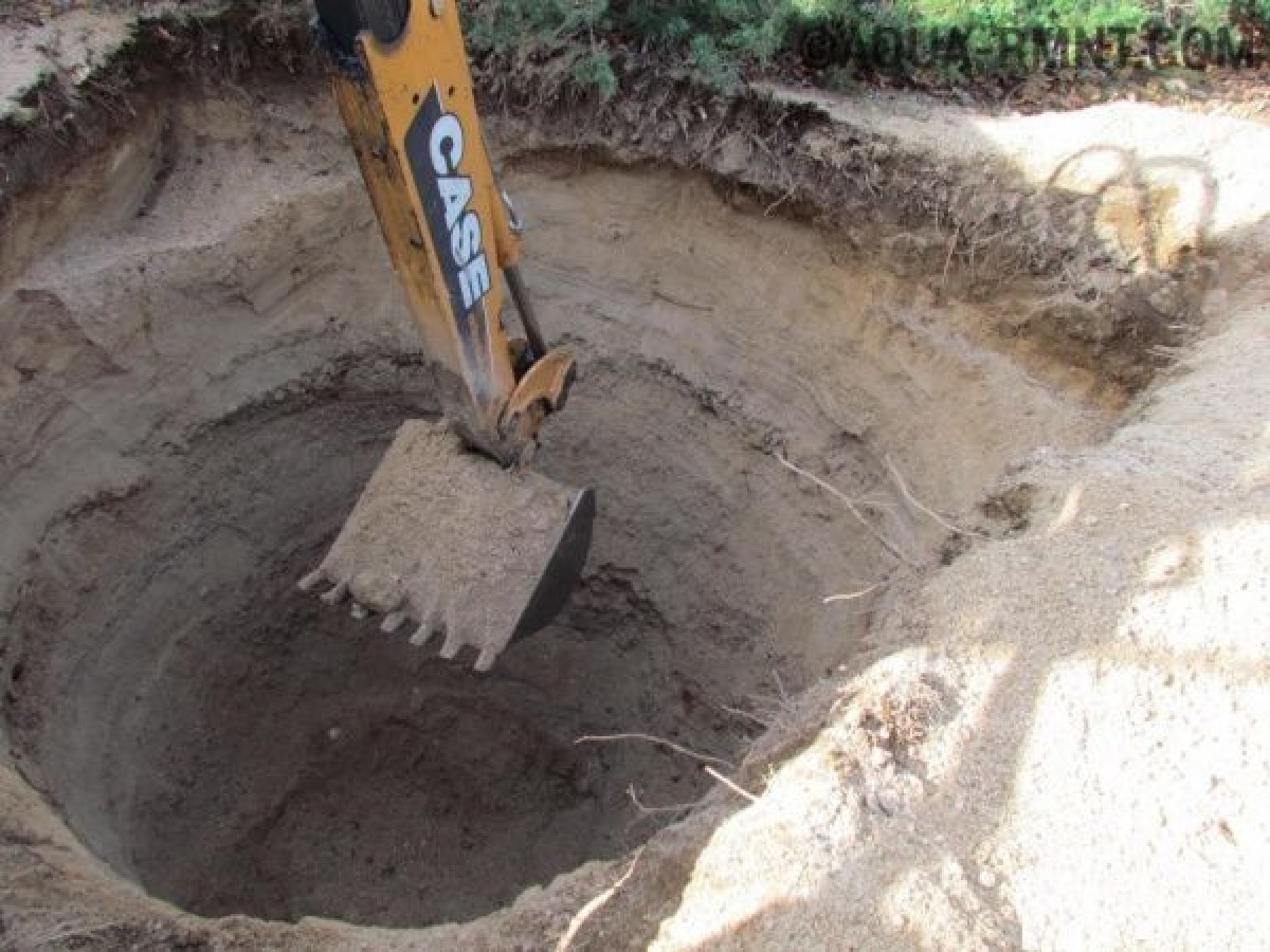 иллюстративное