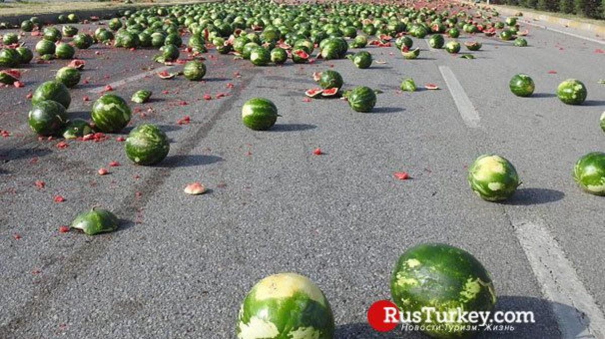 Иллюстративное фото/ rusturkey.com