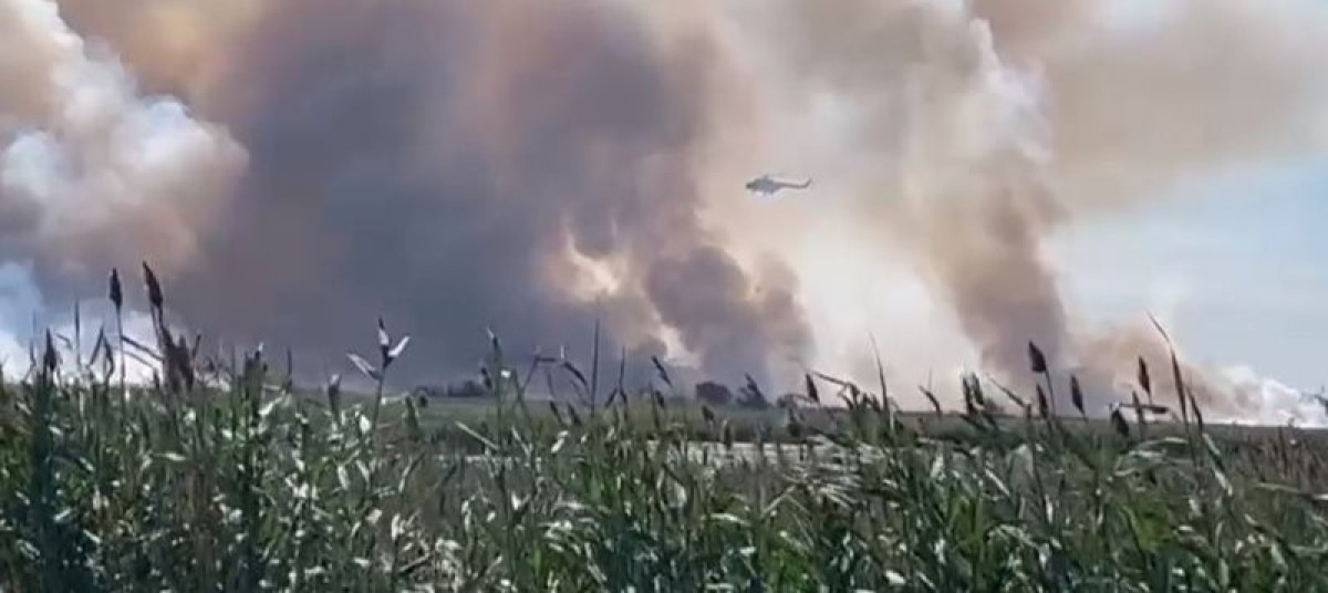 скриншот видео