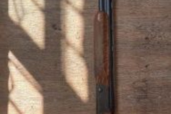 Фотография к новости: Мародер украл в январе ружье и замуровал его в стене — полиция Алматы