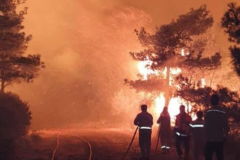 Фотография к новости: Крупный пожар тушат в курортном регионе Турции