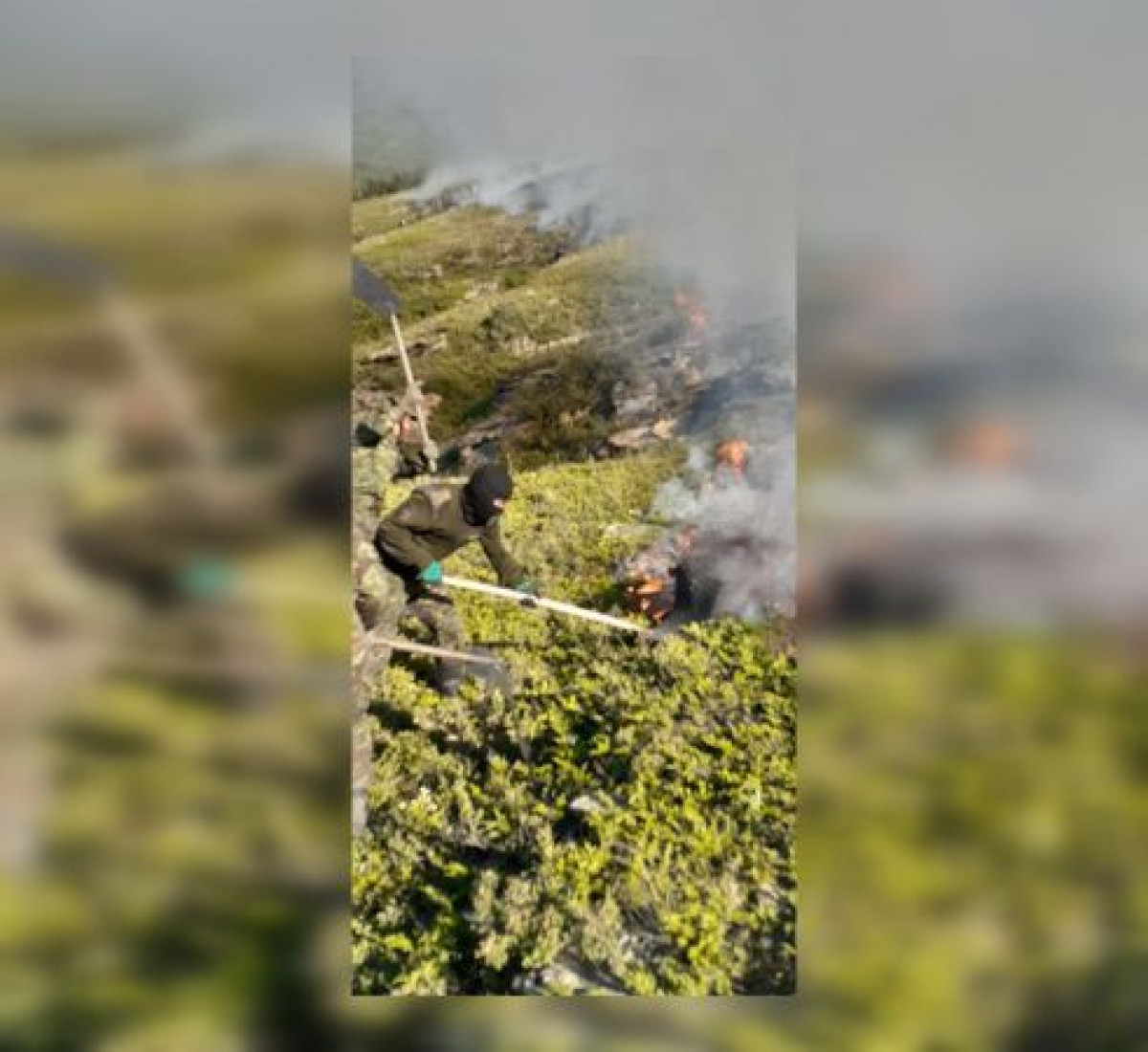 ДЧС Карагандинской области