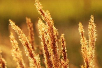 Фотография к новости: Штормовое предупреждение объявили в Алматы и 13 областях Казахстана