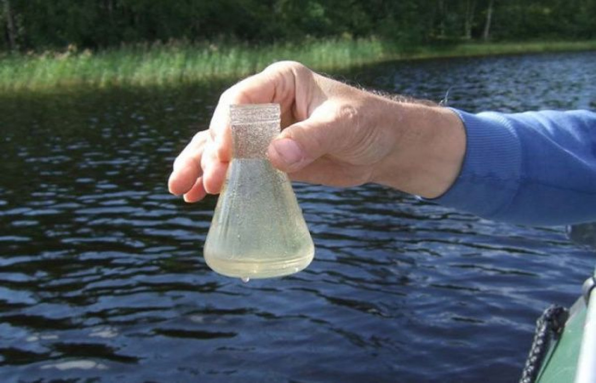 dezinfektsiya.moscow