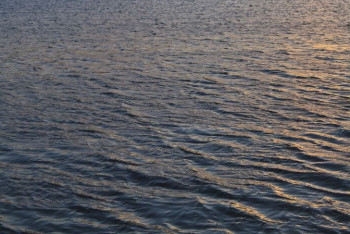 Фотография к новости: При спасении детей утонули двое мужчин в Павлодарской области